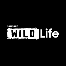 202. Wild life TV